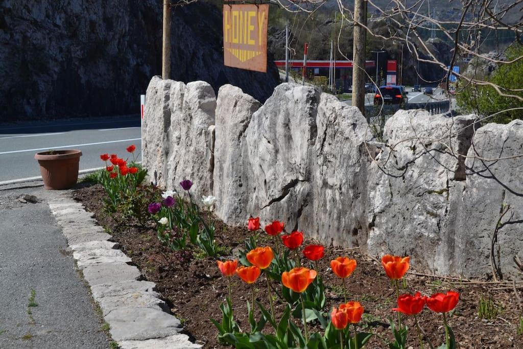Una Apartment Cetinje Buitenkant foto